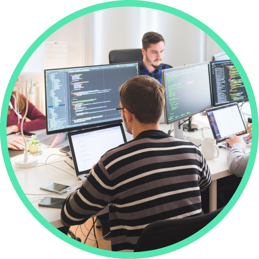 Web Design and Development Team